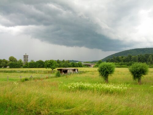 IMG_20120707_131921.jpg image